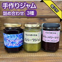 【ふるさと納税】手作りジャム 3種詰め合わせ ふるさと納税 人気 おすすめ ランキング ブルーベリー 果物 フルーツ おやつ 山梨県 鳴沢村 送料無料 NSJ037