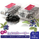 【ふるさと納税】鳴沢村産冷凍ミックスブルーベリー(バークレー・ネルソン・エリザベス・ダロウ)500g×4パック ふるさと納税 ブルーベリー ミックス 冷凍 スーパーフード ヨーグルト おいしい 山梨県 鳴沢村 送料無料 NSAL006