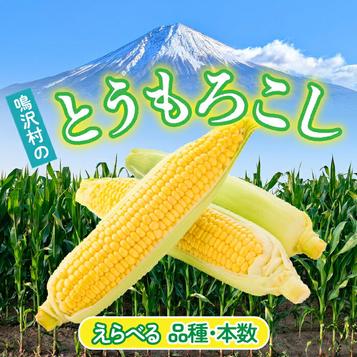 ڤդ뤵Ǽǡ¼ޡȤ5ܡȥīΤ̵