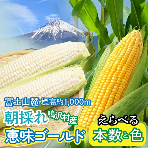 【ふるさと納税】とうもろこし 恵味ゴールド 5~10本 白 訳あり 10~15本 ふるさと納税 とうもろこし トウモロコシ ジューシー 朝採りコーン 野菜 山梨県 鳴沢村 送料無料 NSAK001 【ふるさと納税】とうもろこし 恵味ゴールド 5~10本 白 訳あり 10~15本 ふるさと納税 とうもろこし トウモロコシ ジューシー 朝採りコーン 野菜 山梨県 鳴沢村 送料無料 NSAK001