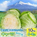 【ふるさと納税】 キャベツ 10kg (6~8玉)ふるさと納税 キャベツ 新鮮 美味しい シャキシャキ 野菜 山梨県 鳴沢村 送料無料 NSAK005