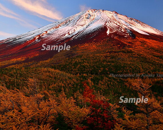 富士山フォトパネル(秋の夕暮れ)ふるさと納税 富士山 フォトパネル 写真 額装写真 山梨県 鳴沢村 送料無料