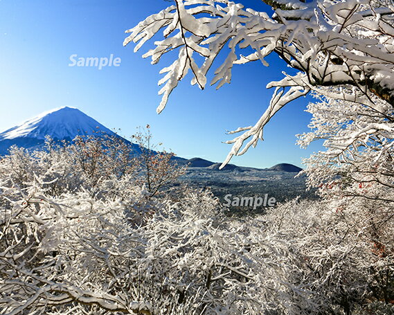  富士山フォトパネル（雪景色）ふるさと納税 富士山 フォトパネル 写真 額装写真 山梨県 鳴沢村 送料無料 NSF005