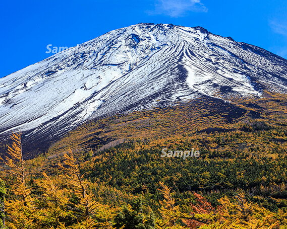  富士山フォトパネル（秋の空）ふるさと納税 富士山 フォトパネル 写真 額装写真 山梨県 鳴沢村 送料無料 NSF007