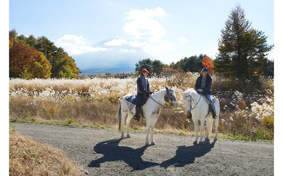 【ふるさと納税】 【乗馬体験チケット】カントリーセットふるさと納税 乗馬 馬 体験チケット 山梨県 鳴沢村 送料無料 NSA001 f194298-narusawa-10000144 山梨県鳴沢村 サンプル画像3