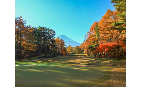 山梨県鳴沢村の画像3