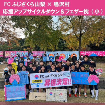 FCふじざくら山梨×鳴沢村 応援アップサイクルダウン＆フェザー枕（小）ふるさと納税 サッカー スポーツ ふじざくら 公式グッズ オリジナルグッズ 山梨県 鳴沢村 送料無料 NSM001