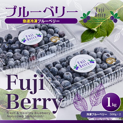 楽天ふるさと納税　【ふるさと納税】 Fuji Berry 急速冷凍ブルーベリー1kg ふるさと納税 冷凍ブルーベリー ブルーベリー 朝食 ヨーグルト 美容 健康 山梨県 鳴沢村 送料無料 NSAA001