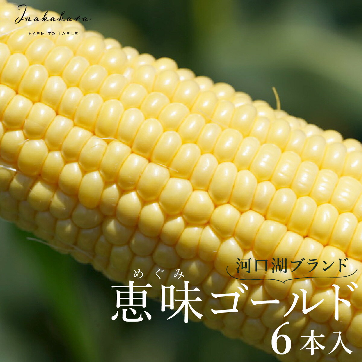 【ふるさと納税】 ＜2024年先行予約＞【富士山の麓で育つ】河口湖ブランドとうもろこしInakakara「恵味ゴールド」6本入 ふるさと納税 人気 おすすめ ランキング とうもろこし 恵味ゴールド トウモロコシ コーン 山梨県 富士河口湖町 送料無料 FBA001･･･