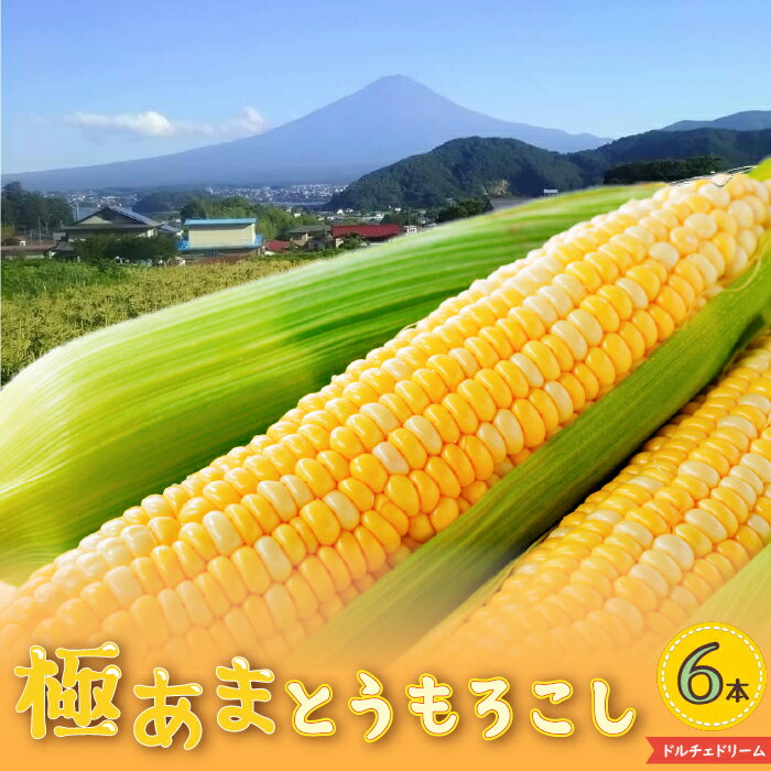 [2024年先行予約][富士山の麓で育つ]山梨県富士河口湖町産Inakakaraとうもろこし「ドルチェドリーム」6本入 ふるさと納税 人気 おすすめ ランキング とうもろこし ドルチェドリーム トウモロコシ コーン 山梨県 富士河口湖町 送料無料