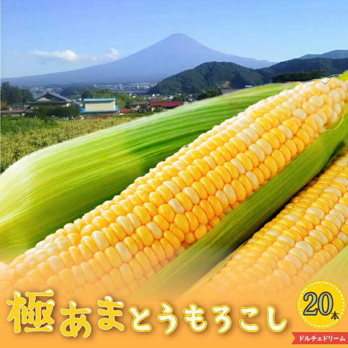 【ふるさと納税】 ＜2024年先行予約＞【富士山の麓で育つ】山梨県富士河口湖町産Inakakaraとうもろこし..