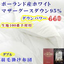 【ふるさと納税】 羽毛布団 ダブル羽毛掛け布団 100番手 【ポーランド産マザーグース95%】 羽毛ふとん 【ダウンパワー440】 寝具 冬用 羽毛布団 ふるさ...