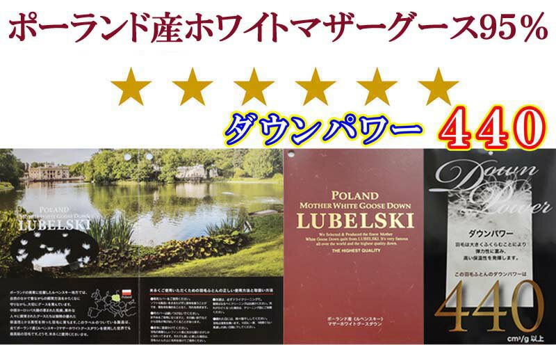 【ふるさと納税】 羽毛布団ダブル羽毛掛け布団100番手 ポーランド産マザーグース95%ダウンパワー440 ふるさと納税 布団 掛布団 掛け布団 かけふとん かけぶとん ダブル D ポーランド産 マザーグース 山梨県 富士河口湖町 送料無料 FAG180