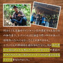 山梨県富士河口湖町の画像3