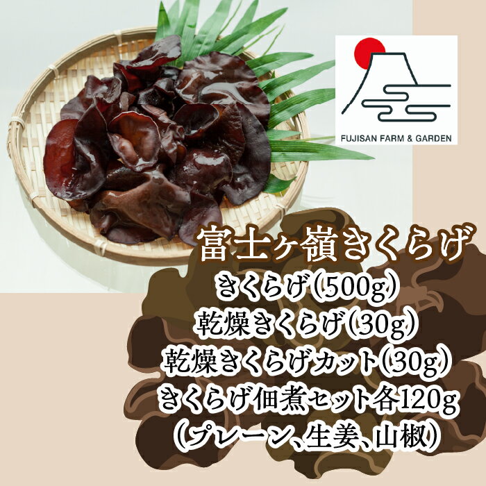 ڤդ뤵ǼǡٻΥ椭餲­å ժ ܥå  餲 ֤ʪ Ѽ Τ ʪ Ŵʬ ӥߥD  ...