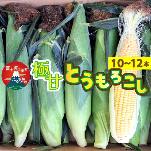 【ふるさと納税】 <2025年発送先行予約> 極甘とうもろこし(10~12本) ふるさと納税 とうもろこし 恵味ゴールド トウモロコシ コーンおすすめ 人気 期間限定 山梨県 富士河口湖町 送料無料 FEG002 【ふるさと納税】 <2025年発送先行予約> 極甘とうもろこし(10~12本) ふるさと納税 とうもろこし 恵味ゴールド トウモロコシ コーンおすすめ 人気 期間限定 山梨県 富士河口湖町 送料無料 FEG002
