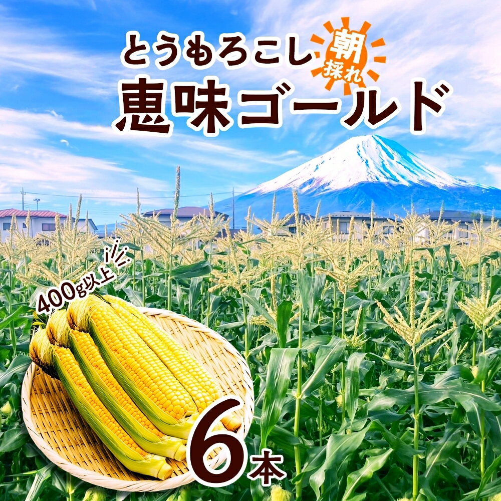 とうもろこし 恵味 ゴールド 400g以上 × 6本 高糖度 トウモロコシ スイートコーン 玉蜀黍 イエローコーン 黄 夏野菜 甘い ジューシー 野菜 おやつ 旬 産地直送 送料無料 湖南野菜出荷組合 山梨県 富士河口湖町