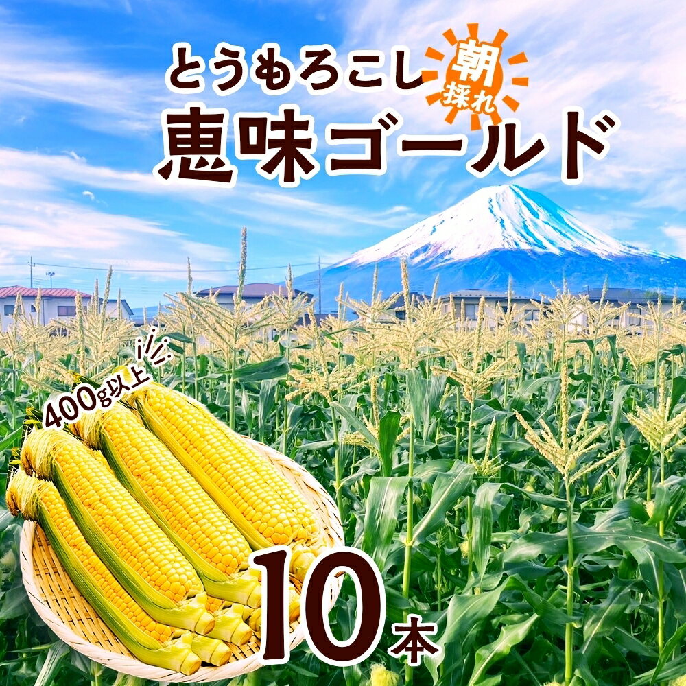 【ふるさと納税】 ＜2026年発送先行予約＞ とうもろこし 恵味 ゴールド 400g以上 × 10本 高糖度 トウモロコシ スイートコーン 玉蜀黍 イエローコーン 黄 夏野菜 甘い ジューシー 野菜 おやつ 旬 産地直送 送料無料 湖南野菜出荷組合 山梨県 富士河口湖町 FEM003