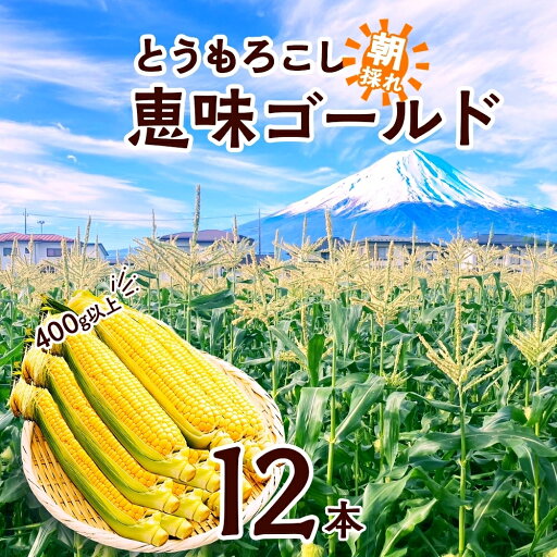 【ふるさと納税】 とうもろこし 恵味 ゴールド 400g以上 × 12本 高糖度 トウモロコシ スイートコーン 玉蜀黍 イエローコーン 黄 夏野菜 甘い ジューシー 野菜 おやつ 旬 産地直送 送料無料 湖南野菜出荷組合 山梨県 富士河口湖町 FEM004 【ふるさと納税】 とうもろこし 恵味 ゴールド 400g以上 × 12本 高糖度 トウモロコシ スイートコーン 玉蜀黍 イエローコーン 黄 夏野菜 甘い ジューシー 野菜 おやつ 旬 産地直送 送料無料 湖南野菜出荷組合 山梨県 富士河口湖町 FEM004