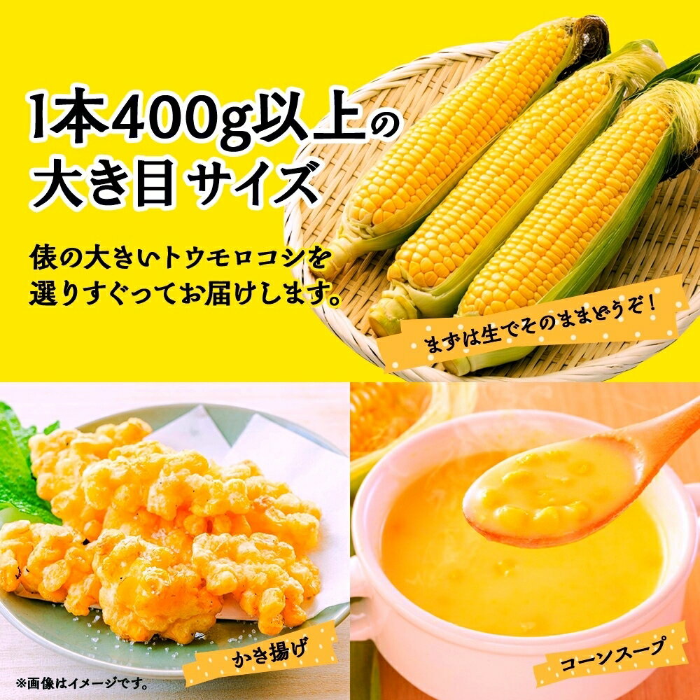 カゴメ パンプキン ピューレ 1kg ( 南瓜 / かぼちゃ )