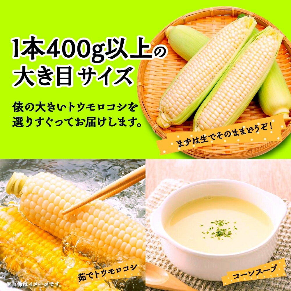 【ふるさと納税】 とうもろこし 白い恵味 ホワイト 400g以上×6本 高糖度 トウモロコシ スイートコーン 玉蜀黍 白 コーン 夏野菜 ジューシー 野菜 おやつ 甘い 旬 産地直送 送料無料 湖南野菜出荷組合 山梨県 富士河口湖町 FEM005
