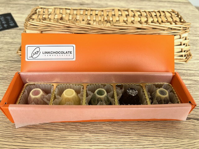 Fujichocolate5種アソート(5ケ入り) ふるさと納税 Fujichocolate チョコレート 山梨県 富士河口湖町