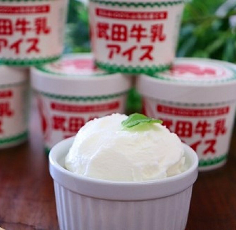 【ふるさと納税】 武田牛乳アイス（12個入） FBO002