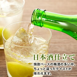 【ふるさと納税】＜甲斐の開運　日本酒で造った＞梅酒300ml×6本セット 画像1