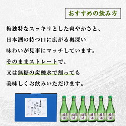 【ふるさと納税】＜甲斐の開運　日本酒で造った＞梅酒300ml×6本セット 画像2