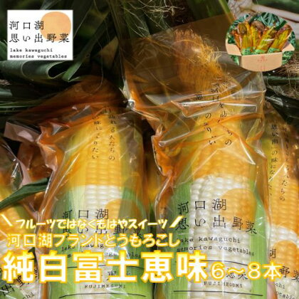 【2024年7月中旬より発送】富士山の大地から待望の白いとうもろこし！フルーツではなくもはやスイーツ☆純白富士恵味6～8本 ふるさと納税 とうもろこし おすすめ 人気 期間限定 山梨県 富士河口湖町 送料無料 FAH007