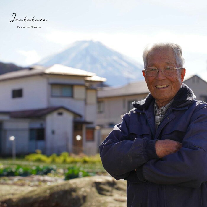 【ふるさと納税】＜2024年先行予約＞ 【富士山の麓で育つ】河口湖ブランドとうもろこしInakakara「恵味ゴールド」10本入 ふるさと納税 人気 おすすめ ランキング とうもろこし 恵味ゴールド トウモロコシ コーン 山梨県 富士河口湖町 送料無料 FBA002