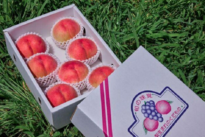 【ふるさと納税】＜26年発送先行予約＞【訳あり】河口湖で初の桃栽培！オリジナルブランド富士桃『訳あり』(約3キロ) ふるさと納税 訳あり 桃 もも おすすめ 人気 期間限定 山梨県 富士河口湖町 送料無料 FAH001