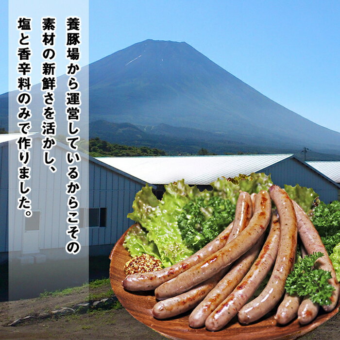 【ふるさと納税】定期便 3ヶ月連続 無添加 ソーセージ 計2.4kg ( 800g × 3回 ) | 豚肉 肉 お肉 にく ぶた ウインナー ウィンナー 小分け 個包装 詰合せ 詰め合わせ セット ギフト お取り寄せ グルメ おかず おつまみ 惣菜 弁当 人気 おすすめ 山梨県 富士河口湖町