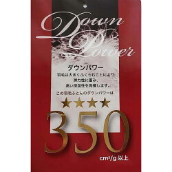 【ふるさと納税】【訳あり】羽毛肌ふとん お任せ ホワイトダウン85% 羽毛肌布団 シングル 150×210cm dp350 画像1