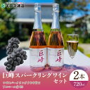 ＜笛吹市・富士河口湖町共通返礼品＞ ロゼワイン／やや甘口（アルコール9％）山梨県産巨峰種使用 きめ細やかな気泡が巨峰種ならではの優しい甘みとさわやかな酸味を引き立てるスパークリングワインです。 注意事項：大事にやさしく処理したためオリなど沈殿する場合がございます。飲用には差し支えありません。直射日光を避け、横にねかせて保存して下さい。びんは破損しやすいので、取り扱いには十分ご注意下さい。お酒は20歳を過ぎてから。妊娠中や授乳期の飲酒は、胎児・乳児の発育に悪影響を与えるおそれがあります 【製造者】モンデ酒造株式会社 連絡先　：055-262-3161 品名 巨峰スパークリングワイン2本セット 原材料名 ぶどう（山梨県産）/酸化防止剤（亜硫酸塩） 内容量 720ml×2本 ロゼワイン／やや甘口（アルコール9％）山梨県産巨峰種使用 賞味期限 なし 保存方法 直射日光を避けて保存して下さい。瓶は破損しやすいので取り扱いにご注意ください 製造者 モンデ酒造株式会社 梱包仕様 常温配送 お届けスピード 準備でき次第、随時発送いたします。 ・ふるさと納税よくある質問はこちら ・寄付申込みのキャンセル、返礼品の変更・返品はできません。あらかじめご了承ください。巨峰スパークリングワイン2本セット 受領証明書：入金確認後、注文内容確認画面の【注文者情報】に記載の住所へお礼の品とは別に40日以内に発送いたします。 ワンストップ特例申請書：寄付申込みの際に希望された方のみ受領証明書に同封いたします。