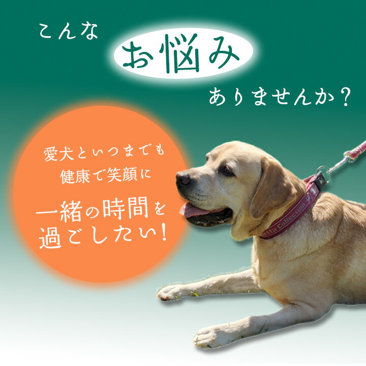 【ふるさと納税】無添加 犬用 おやつ 鹿肉ジャーキー 50g ＆ 鹿骨ジャーキー 50g 食べ比べ 鹿 ジャーキー ペット ドッグフード / 山梨県 富士河口湖町 FBK013 3