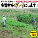 ふるさと小菅をきれいに！除草、清掃等サービス