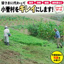 村内の景観維持に関する作業(草刈り、清掃など) ふるさと小菅村をきれいにします！普段なかなか帰れない皆さまに代わって、次の作業を行います。 【空き家・空き地の草刈り、お部屋の掃除、畑作業(草取り、耕起作業)など】 作業は2名の作業員で1〜2時間程度を想定しています。 ご指定の作業がない場合は、こちらから提示する場所、内容での作業となります。 (例：道路脇の清掃、花の植栽など、季節に合わせた村内の景観向上の作業になります。) 本サービス提供は、小菅村内に限ります。 作業終了後に、作業前・後の写真を報告書として提出します。 ※作業内容について事前に小菅村社会福祉協議会(0428-87-9321)までご連絡ください。 　現地を確認した後にご本人様と協議の上、作業内容を確定します。内容によっては、別途料金がかかる場合があります。 名称 ふるさと小菅をきれいに！除草、清掃等サービス 〜ショートコース〜 内容量 村内の景観維持に関する作業（草刈り、清掃など） 納期 お申し込み確認後、一週間以内に小菅村社会福祉協議会からご連絡 事業者 株式会社源　(提供元：小菅村社会福祉協議会) 〒409-0211 山梨県北都留郡小菅村3445番地 ・ふるさと納税よくある質問はこちら ・寄付申込みのキャンセル、返礼品の変更・返品はできません。あらかじめご了承ください。ふるさと小菅をきれいに！除草、清掃等サービス 〜ショートコース〜 寄付金の使い道について 森と水と川を守る事業 未来の子どもたちを育てる事業 上下流の交流を促進する事業 村長おまかせメニュー 受領書は入金確認後、注文内容確認画面の【注文者情報】に記載の住所に30日以内に発送いたします。 ワンストップ特例申請書は受領書と一緒にお送りしますので、必要情報を記載の上返送してください。