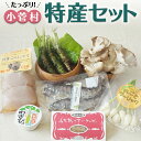 【ふるさと納税】こすげ特産セット