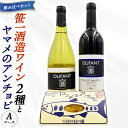 【ふるさと納税】笹一酒造ワイン&ヤマメのアンチョビ詰め合わせ(Aコース)
