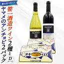 【ふるさと納税】笹一酒造ワイン&ヤマメのアンチョビ詰め合わせ(Dコース)