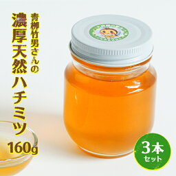 【ふるさと納税】青柳竹男さんの濃厚天然ハチミツ　160g　3本セット