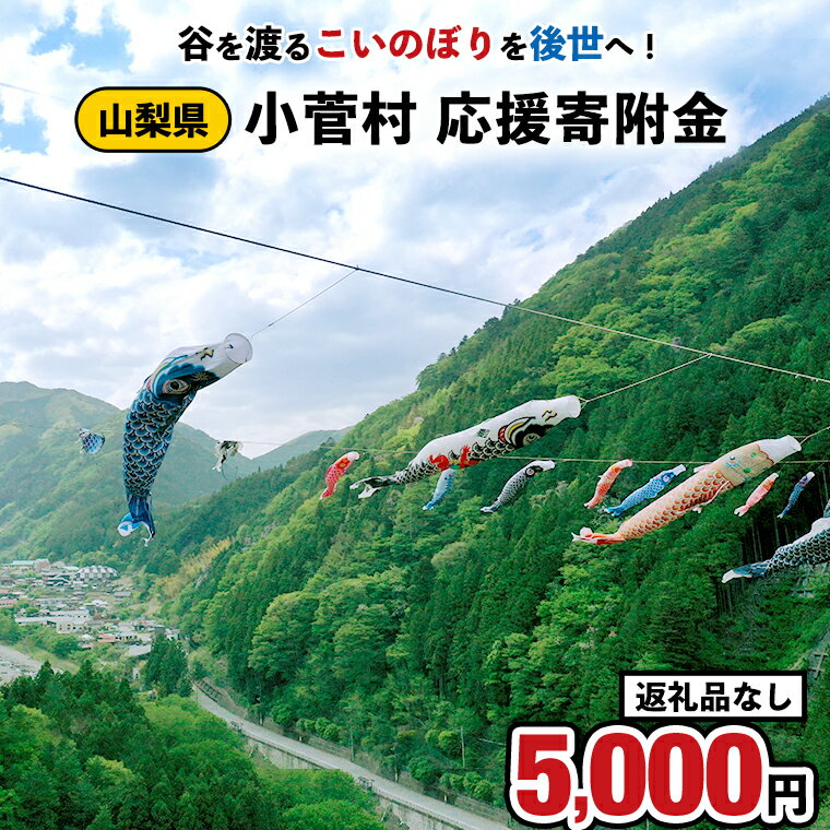 【ふるさと納税】【返礼品なし】谷を渡るこいのぼりを後世へ!<小菅村応援寄附金5,000円>