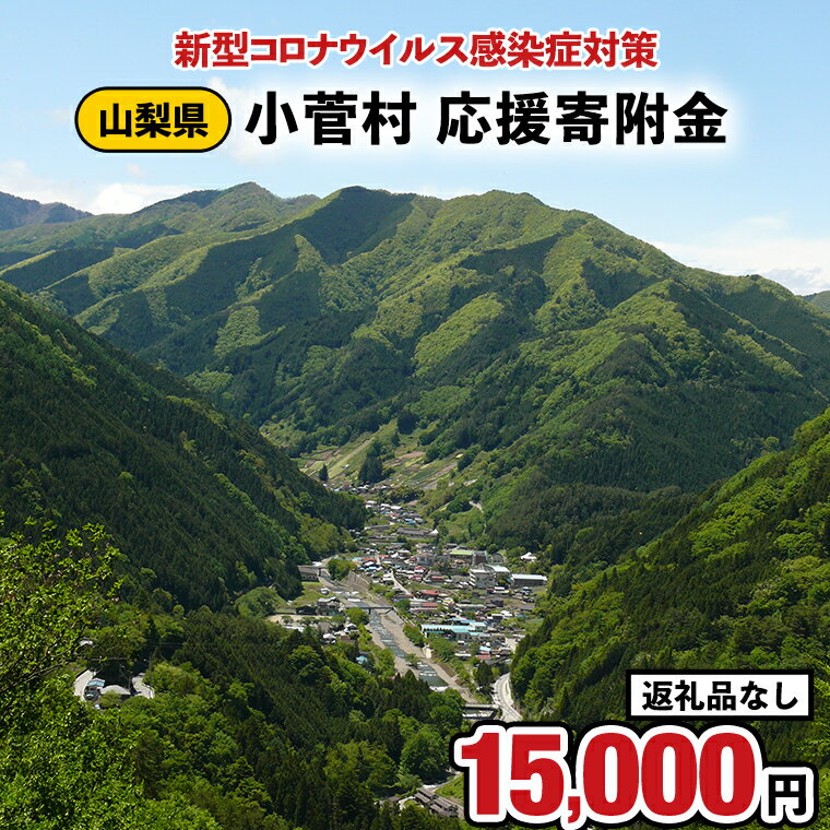 【ふるさと納税】【返礼品なし】新型コロナウイルス感染症対策応援支援金<小菅村応援寄附金15,000円>