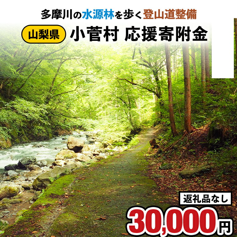 2位! 口コミ数「0件」評価「0」【返礼品なし】多摩川の水源林を歩く登山道整備支援金＜小菅村応援寄附金30,000円＞