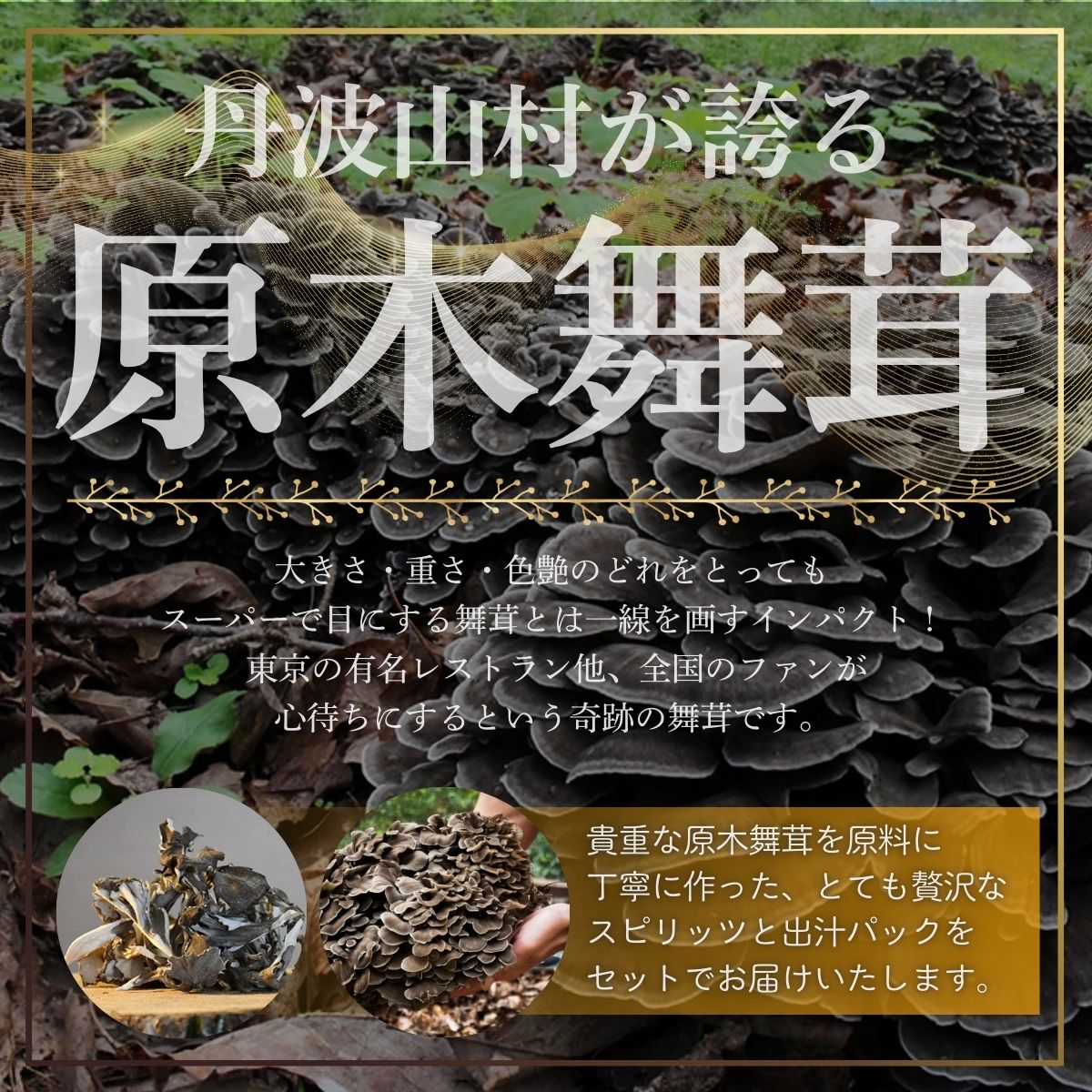 【ふるさと納税】 GEEKSTILL 舞茸スピリッツ ＋ 舞茸だしパック セット だし割 丹波山産 原木舞茸 ボタニカル 国産 ボタニカル お酒 蒸留酒 宅飲み 家飲み 晩酌 ギフト プレゼント 贈り物 父の日 送料無料 ふるさと納税【tab0239】