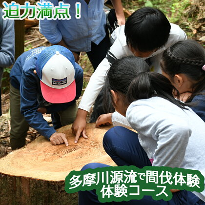 【多摩川の源流で間伐体験】体験コース