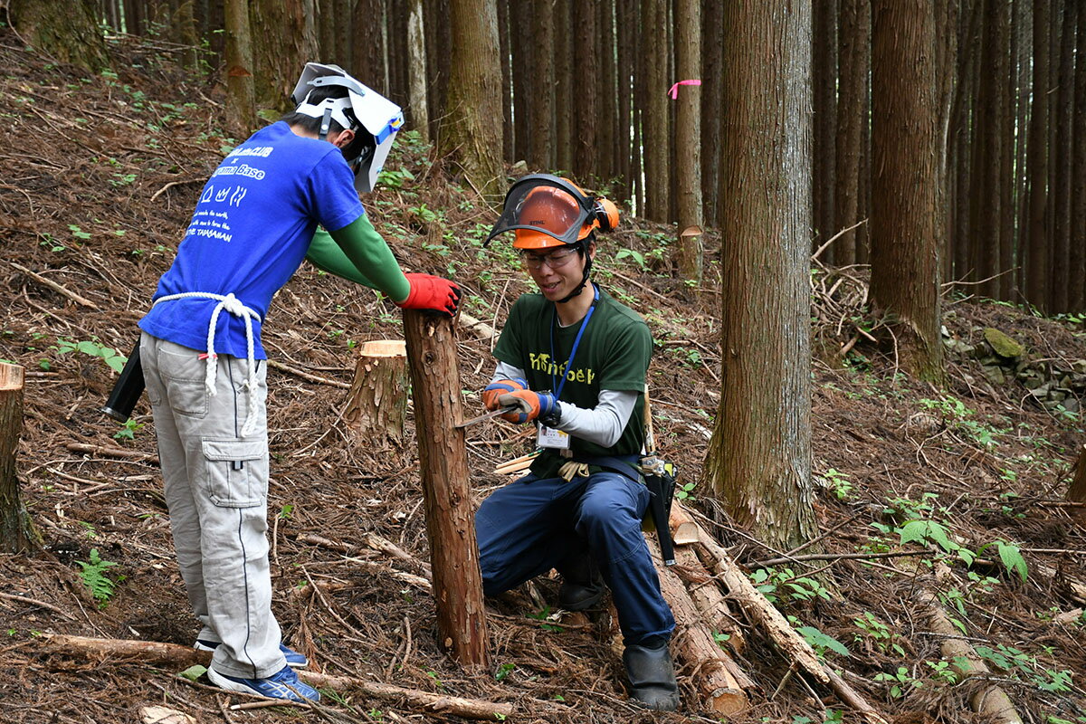 【ふるさと納税】【多摩川の源流で間伐体験】体験コースの紹介画像3