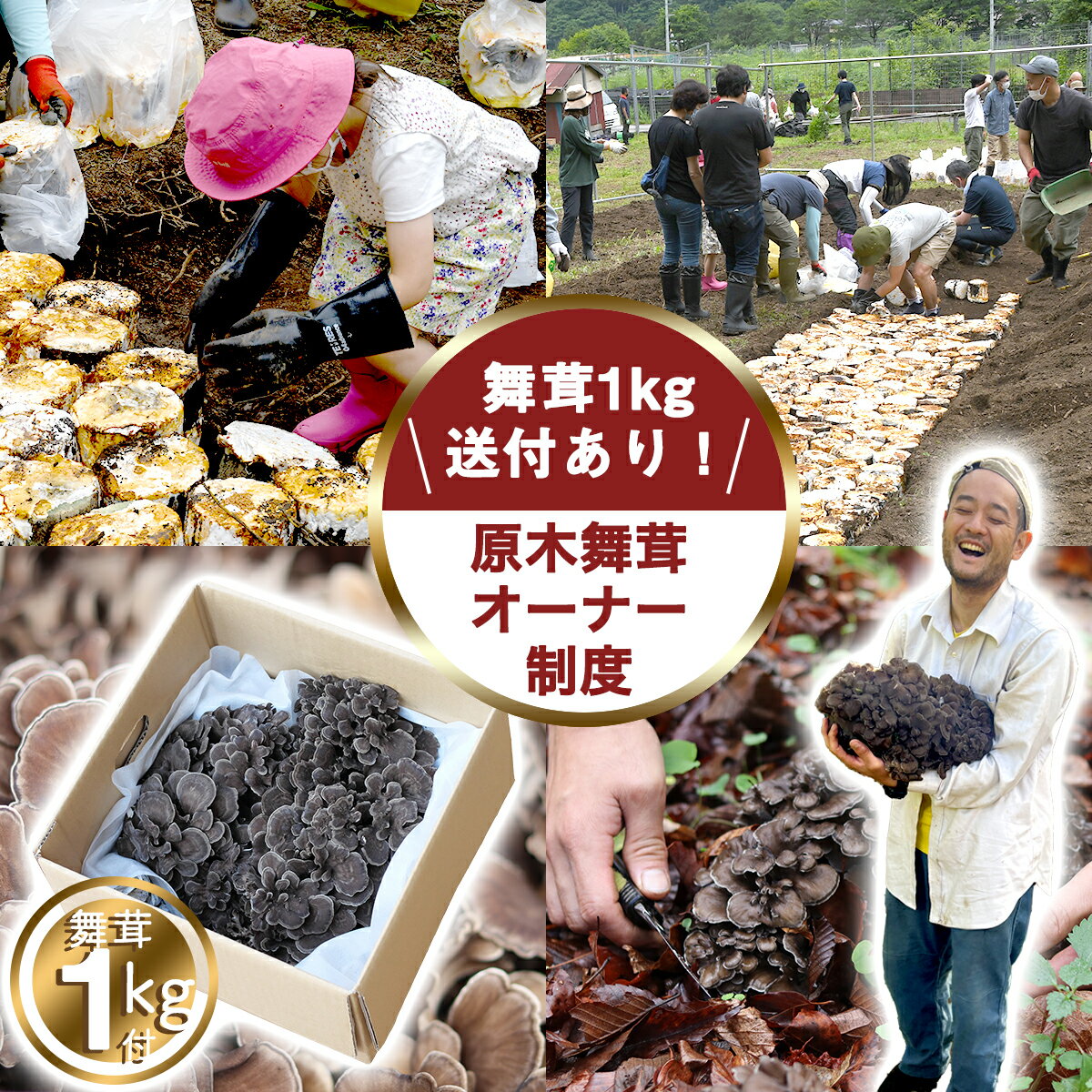 特徴 「まいたけオーナー制度」は、丹波山村特産の原木舞茸のオーナーになり、原木から発生した舞茸を受け取る制度です。 丹波山村で一緒に原木My茸を育てましょう！ ---体験スケジュール--- ■伏せ込み……6月頃開催予定です。事業者より寄附者様に日程をご連絡いたします。 　※不参加の場合は丹波山倶楽部が作業をします。 ■収穫時期……9月下旬から10月上旬。発生した舞茸はご指定のご住所に発送します。 ---オーナーになるとこんな特典があります！--- ■新鮮な原木舞茸が送られてくる！ 　オーナー専用の舞茸畑にホダ木を伏せ込み、発生した舞茸をオーナー様にお届けするシステムです。収穫 は丹波山倶楽部が行い、採れたての新鮮な原木舞茸（約1kg）をご指定のご住所にお送りします。市場には あまり出回らない希少な原木舞茸が確実にお手元に届きます。 ■原木舞茸の知識＆舞茸愛が深まる！ 　オーナー畑の伏せ込みを行う前に、10 年以上舞茸作りに携わっているベテランスタッフが原木舞茸につい てのレクチャーを行います。生産者と話をしたり、一緒に作業をして、原木舞茸の知識と愛を深めましょう。 ■オーナー限定の舞茸イベントに参加できる！ 　有名レストランのシェフも指名買いする丹波山村の原木舞茸。旬の時期には、取引のあるレストランや丹 波山村内での舞茸料理を楽しむイベントを企画中です。このスペシャルイベントに参加できるのは、まいた けオーナーの皆さんだけです！　その他にも舞茸イベントを企画中ですので、お楽しみに♪ ■体験可能人数：お申込み1件につき1名様 　※イベントのみ複数名でご参加ご希望の場合は、事業者にご相談下さい。 商品概要 体験チケット 内容量 2026年舞茸オーナー制度＆畑づくり体験　1名様分 ※原木舞茸約1kgお届け付き ※丸ごとの野菜となるため、表記重量はあくまで目安となります。 ※イベントのみ複数名でご参加ご希望の場合は、事業者にご相談下さい。 期限等 予約受付期間： ～2026年5月31日まで 製造者詳細 丹波山倶楽部 地場産品該当理由 丹波山村において提供される役務その他これに準ずるものであって、当該役務の主要な部分が丹波山村に相当程度関連性のあるもの。 配送について この商品の配送の基本情報については下記となります。 配送方法 メール 配送について 【イベントや体験について】 ・実施事業者から電話またはメールにて詳細をご連絡いたします。 ・イベント実施までにご連絡がとれなかった場合、事業者が畑づくり等の作業を代行します。 ・イベントに参加できなかった場合でも、原木舞茸はお送りいたします。 ・実施日にイベントに参加できなかった場合、再実施等はございませんのでご了承下さい。 【原木舞茸のお届けについて】 ・舞茸は2026年9月下旬から10月中旬に発送予定となります ・発送時には発送メールをお送りさせていただきますので、お早めにお受け取りいただけますようお願い申し上げます。 ・寄附者様都合によるお受け取りの遅延による返礼品の痛みについては代品の手配は致しかねますのでご注意ください。 ・お届け先がご不在の場合は、運送業者がご不在票を投函し、お届け先様からのご連絡をいただいて、対応をいたします。 ・ 基本的に、ご不在票の投函後3日間を経過しても、お届け先がご不在の場合は、お客様にご連絡の後、商品を出荷元まで戻させていただきます。(ご連絡が取れない場合は弊社の判断で商品を出荷元に戻すこともございます) ・商品をお届けできず返送された際の返金・再送はいたしかねますので、贈り物などの場合はご注意ください。 配送不可都道府県 離島,北海道,福岡県,佐賀県,長崎県,熊本県,大分県,宮崎県,鹿児島県,沖縄県 ご注意 ・写真はイメージです。 ・ふるさと納税よくある質問はこちら ・寄附申込みのキャンセル、返礼品の変更・返品はできません。あらかじめご了承ください。 ・当該品は他店舗と在庫を共有しているため、在庫更新のタイミングにより、在庫切れの場合やむをえずキャンセルさせていただく可能性があります。