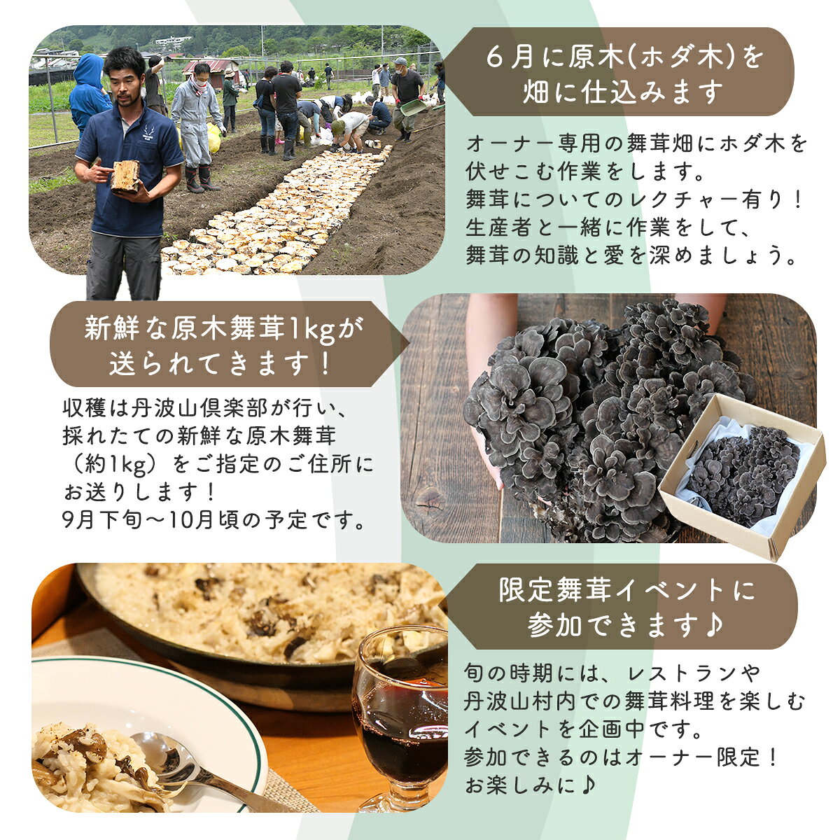 【ふるさと納税】【先行予約】【舞茸約1kg付きの体験イベント】2026年舞茸オーナー制度＆畑づくり体験